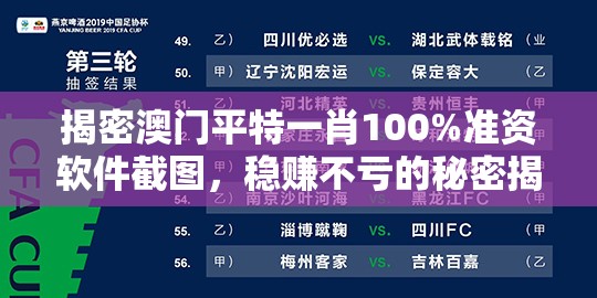 揭密澳门平特一肖100%准资软件截图，稳赚不亏的秘密揭晓