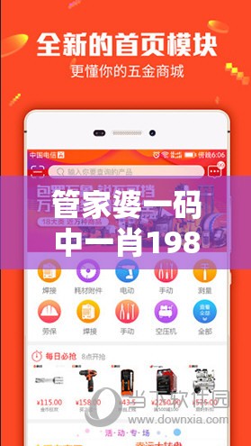 管家婆一码中一肖198期：稳定的秘诀大揭秘，带你轻松赢取财富！