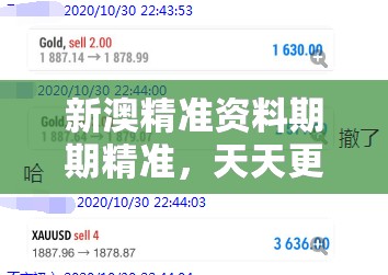 新澳精准资料期期精准，天天更新助你轻松获利的绝佳选择！
