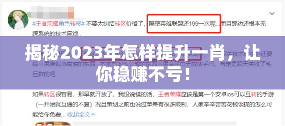 揭秘2023年怎样提升一肖，让你稳赚不亏！