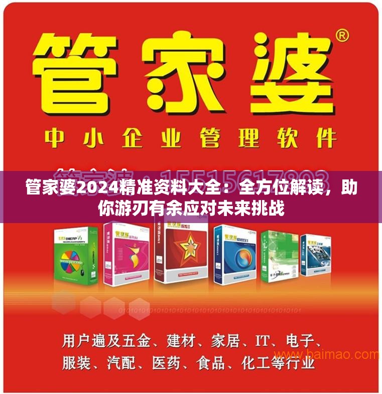 管家婆2024精准资料大全：全方位解读，助你游刃有余应对未来挑战
