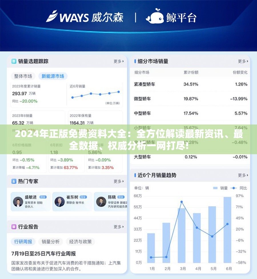 2024年正版免费资料大全：全方位解读最新资讯、最全数据、权威分析一网打尽!