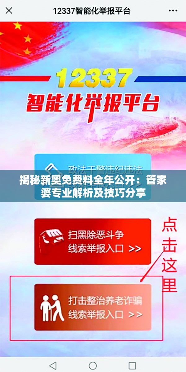 揭秘新奥免费料全年公开：管家婆专业解析及技巧分享