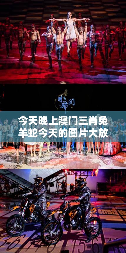 今天晚上澳门三肖兔羊蛇今天的图片大放送！今晚赌城之夜精彩瞬间尽收眼底，赶紧来围观！