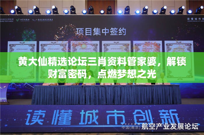 黄大仙精选论坛三肖资料管家婆，解锁财富密码，点燃梦想之光