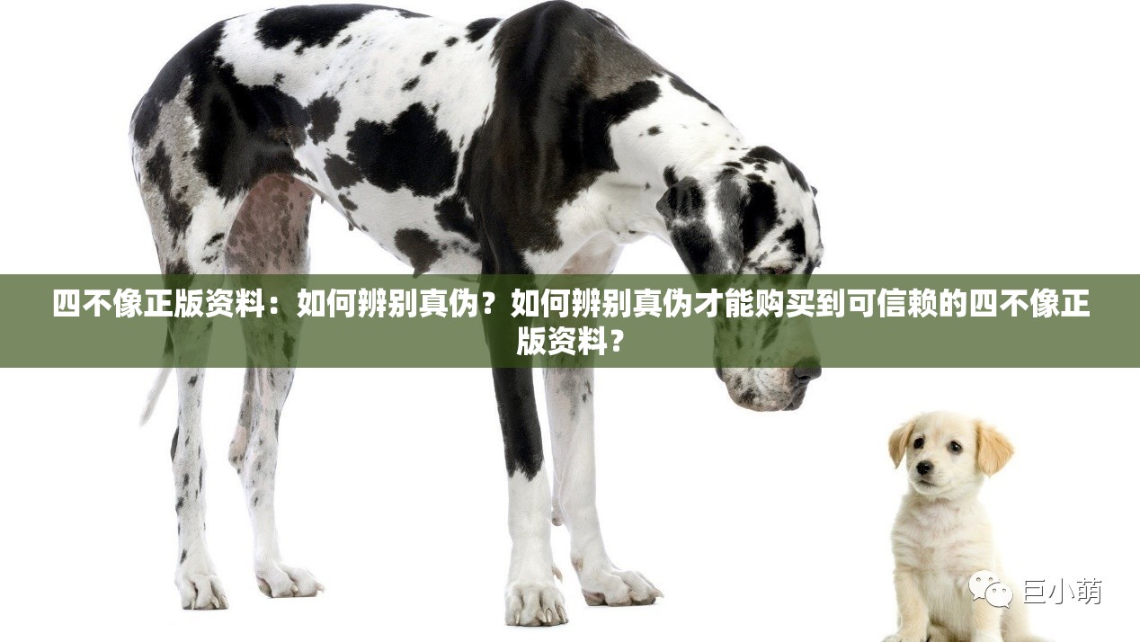 四不像正版资料：如何辨别真伪？如何辨别真伪才能购买到可信赖的四不像正版资料？