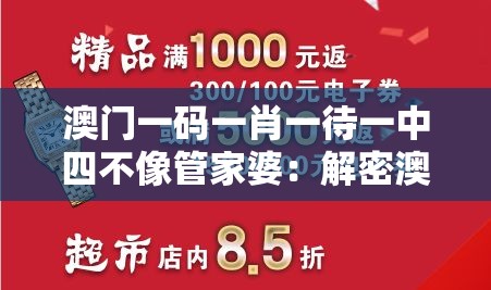 澳门一码一肖一待一中四不像管家婆：解密澳门的神秘之谜，揭秘内幕和背后故事