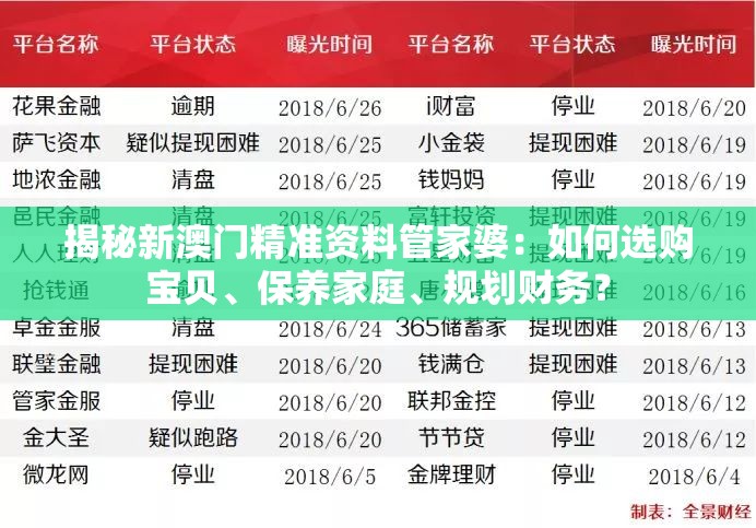 揭秘新澳门精准资料管家婆：如何选购宝贝、保养家庭、规划财务？