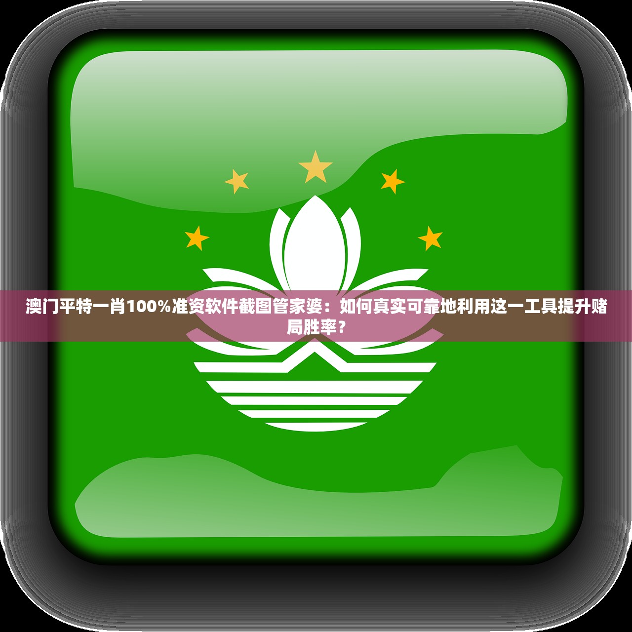 澳门平特一肖100%准资软件截图管家婆：如何真实可靠地利用这一工具提升赌局胜率？
