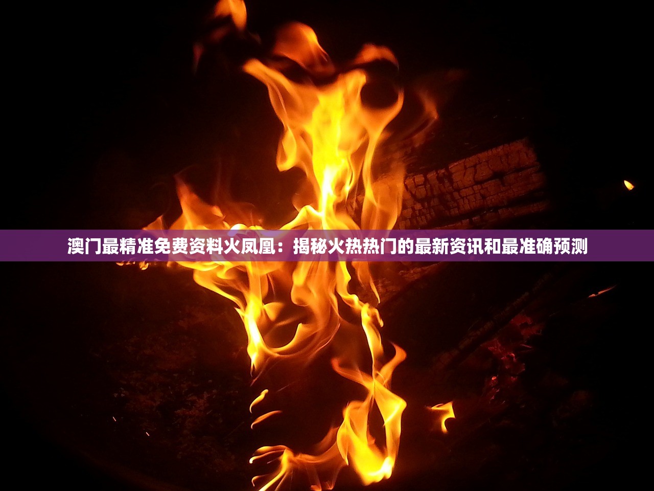 澳门最精准免费资料火凤凰：揭秘火热热门的最新资讯和最准确预测