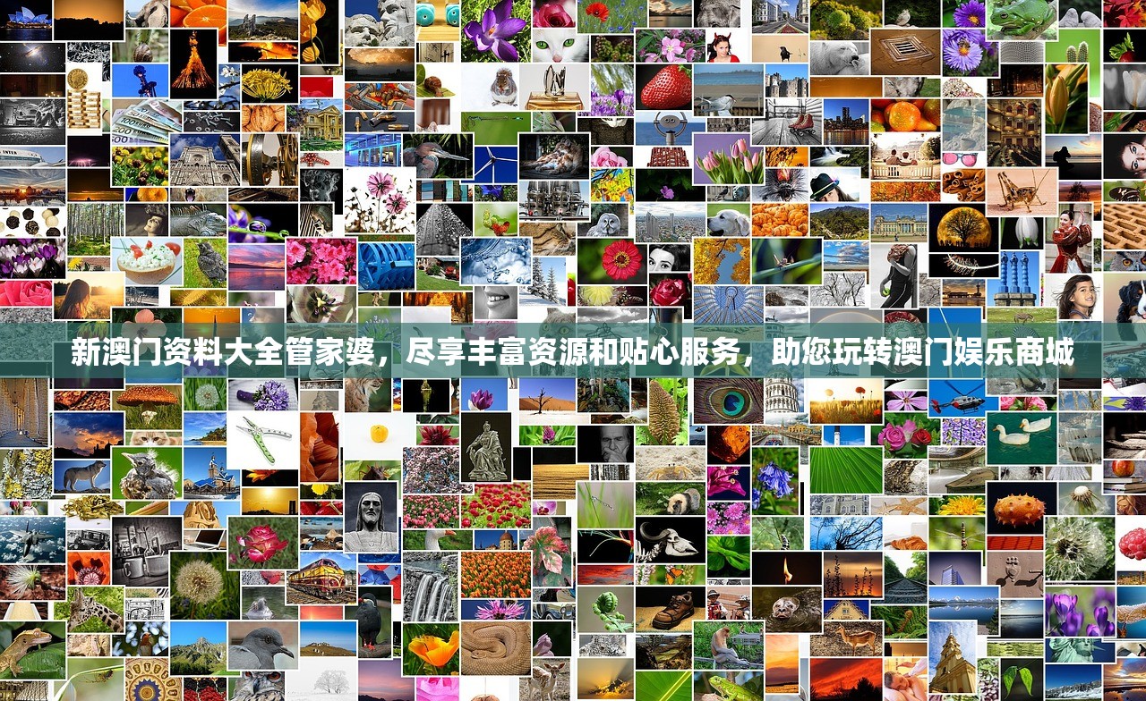 (win7家庭高级版激活码永久产品密钥)Win7家庭高级版激活码，获取与使用的全面指南