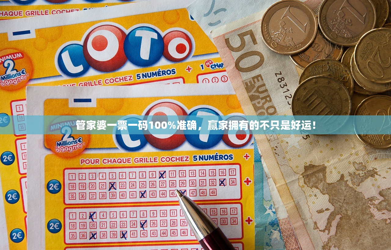 管家婆一票一码100%准确，赢家拥有的不只是好运！