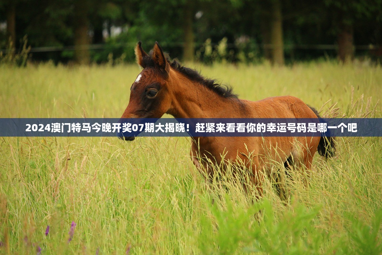 2024澳门特马今晚开奖07期大揭晓！赶紧来看看你的幸运号码是哪一个吧