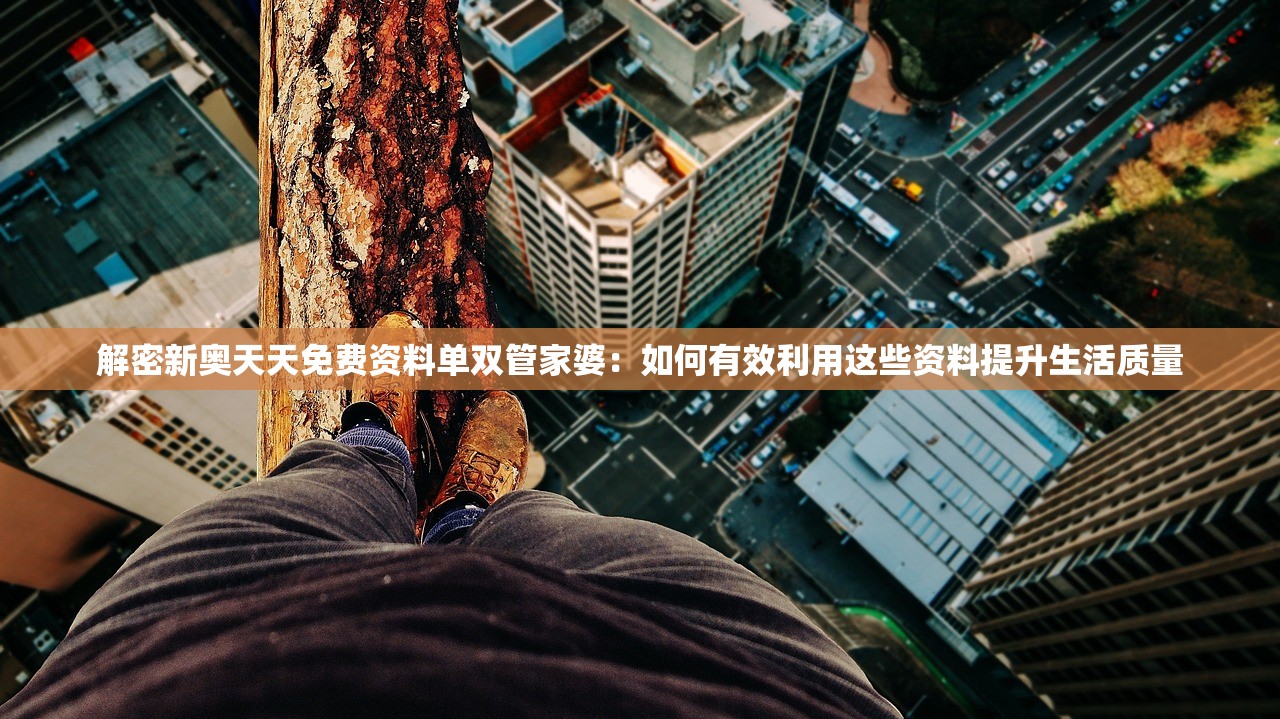 解密新奥天天免费资料单双管家婆：如何有效利用这些资料提升生活质量