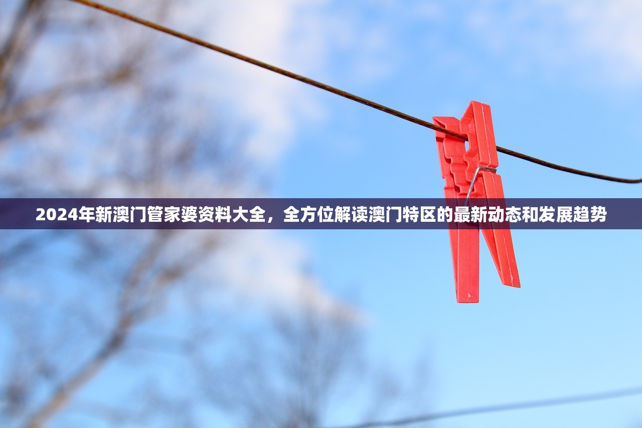 2024年新澳门管家婆资料大全，全方位解读澳门特区的最新动态和发展趋势