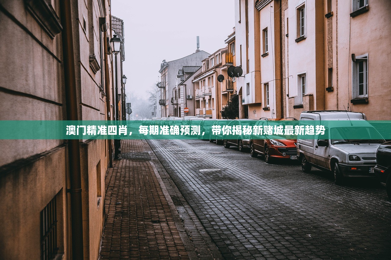 澳门精准四肖，每期准确预测，带你揭秘新赌城最新趋势