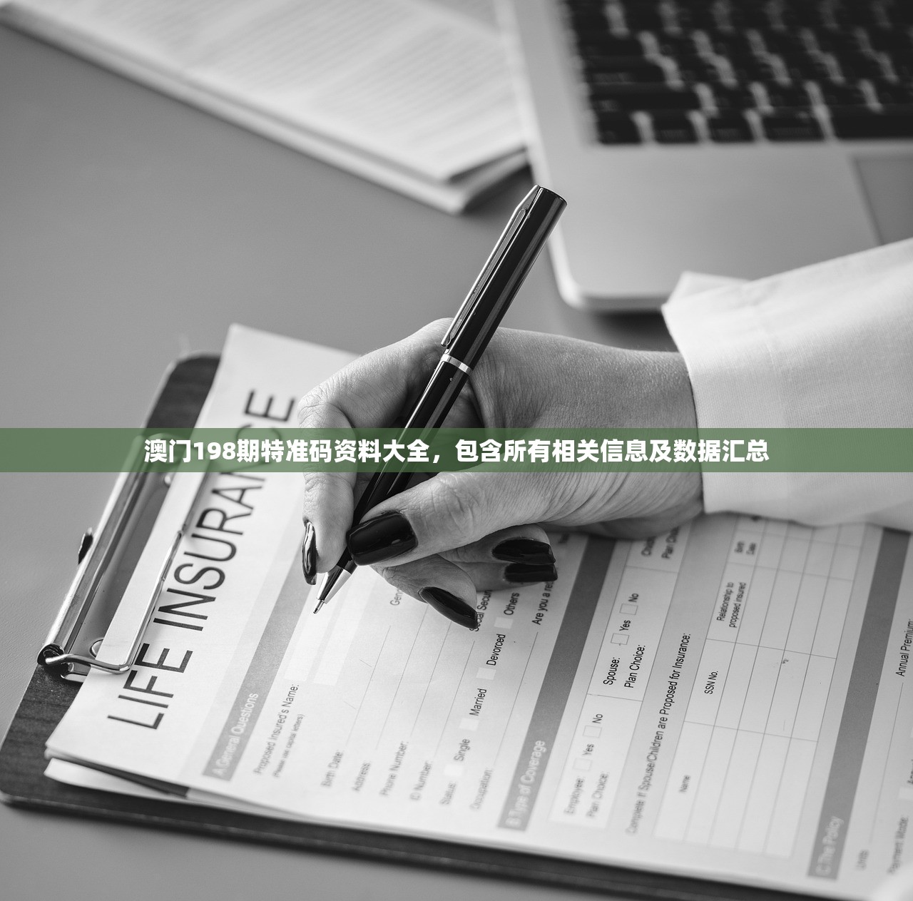 澳门198期特准码资料大全，包含所有相关信息及数据汇总