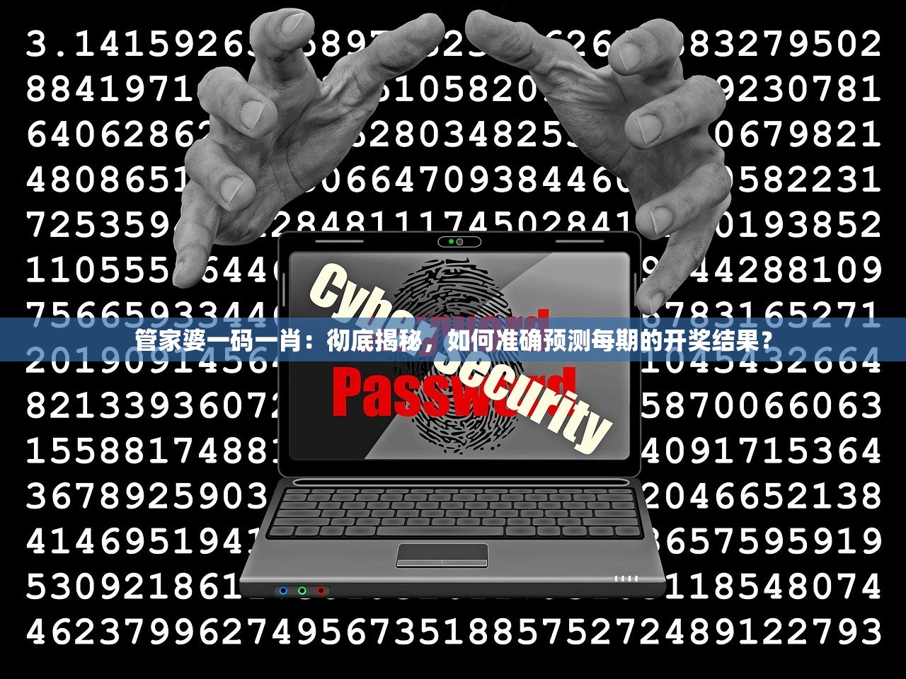 管家婆一码一肖：彻底揭秘，如何准确预测每期的开奖结果？