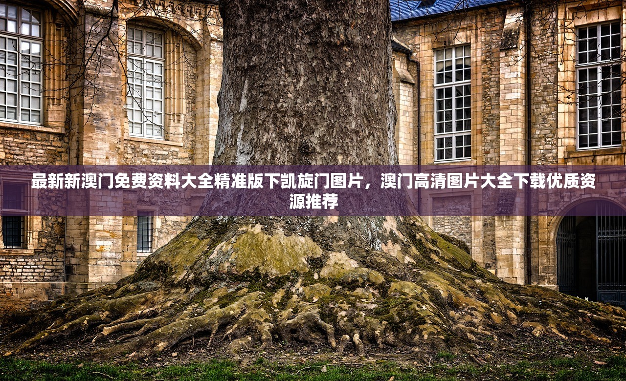 最新新澳门免费资料大全精准版下凯旋门图片，澳门高清图片大全下载优质资源推荐