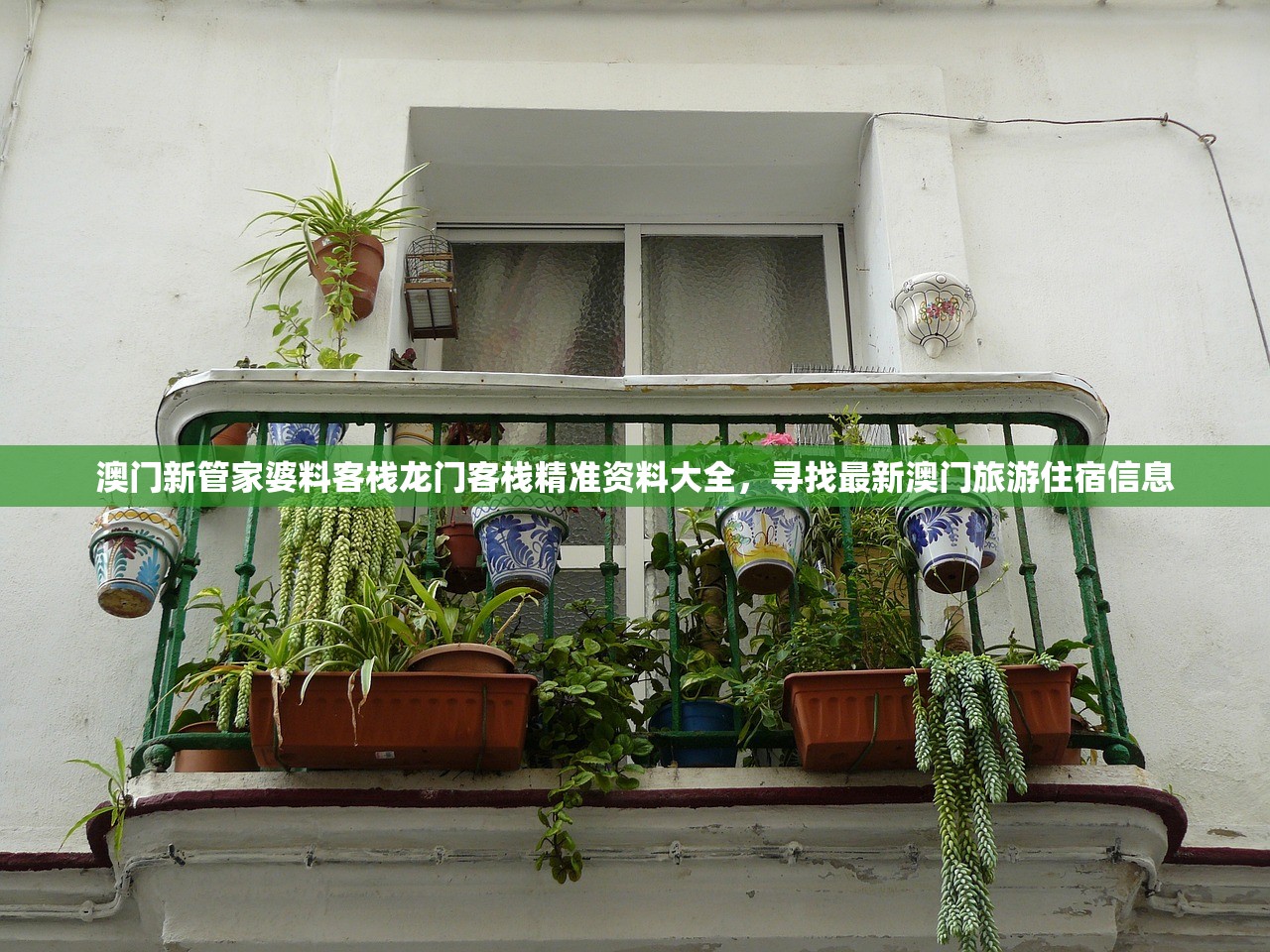 澳门新管家婆料客栈龙门客栈精准资料大全，寻找最新澳门旅游住宿信息