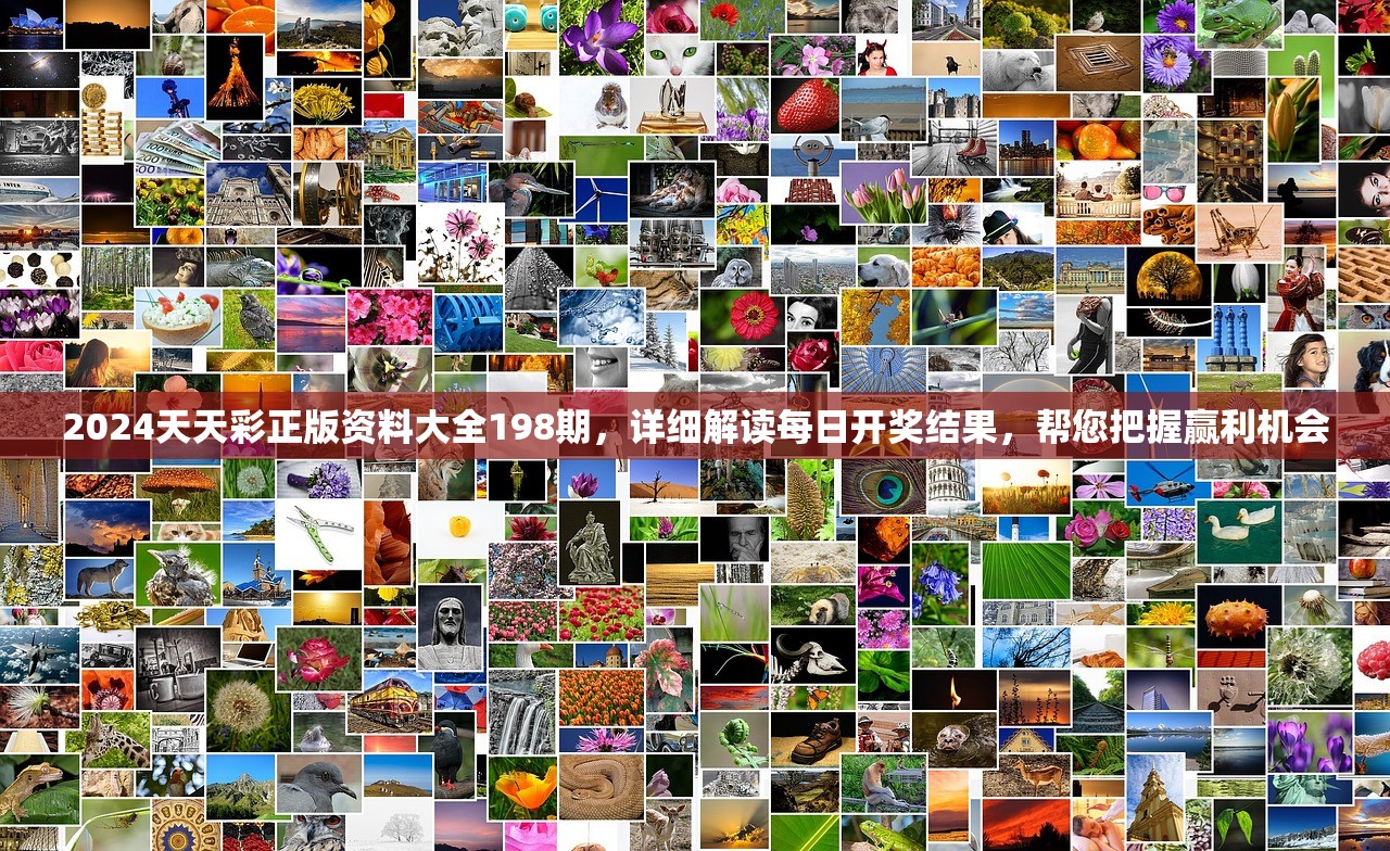 2024天天彩正版资料大全198期，详细解读每日开奖结果，帮您把握赢利机会