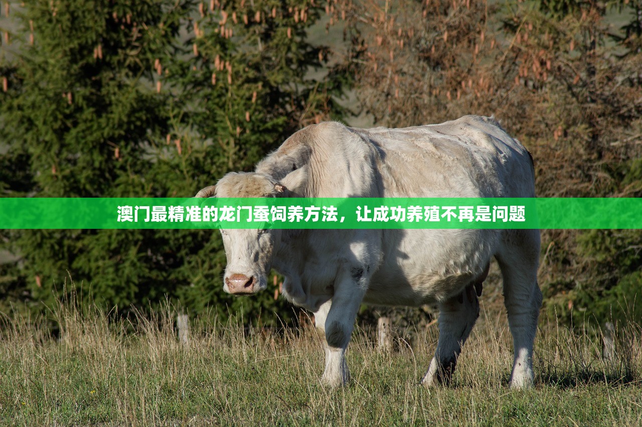 澳门最精准的龙门蚕饲养方法，让成功养殖不再是问题