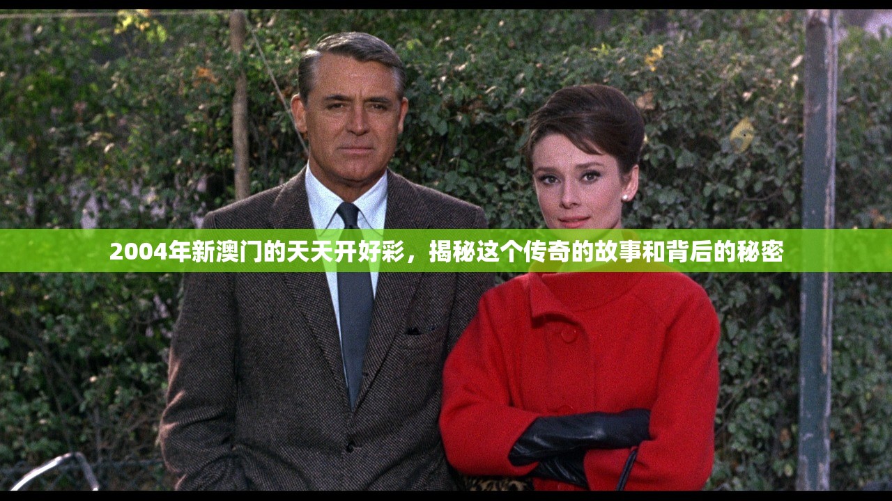 2004年新澳门的天天开好彩，揭秘这个传奇的故事和背后的秘密