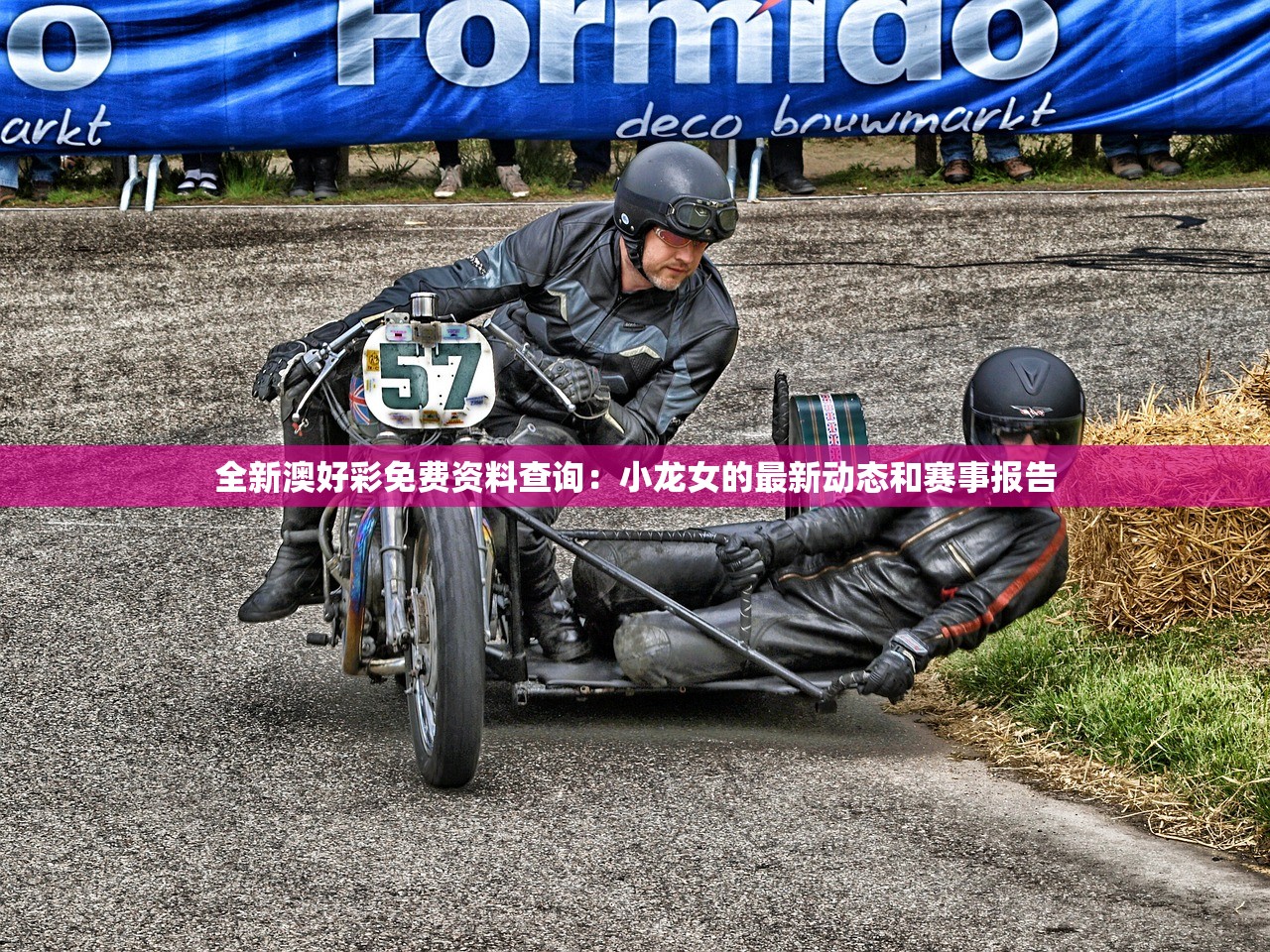 全新澳好彩免费资料查询：小龙女的最新动态和赛事报告