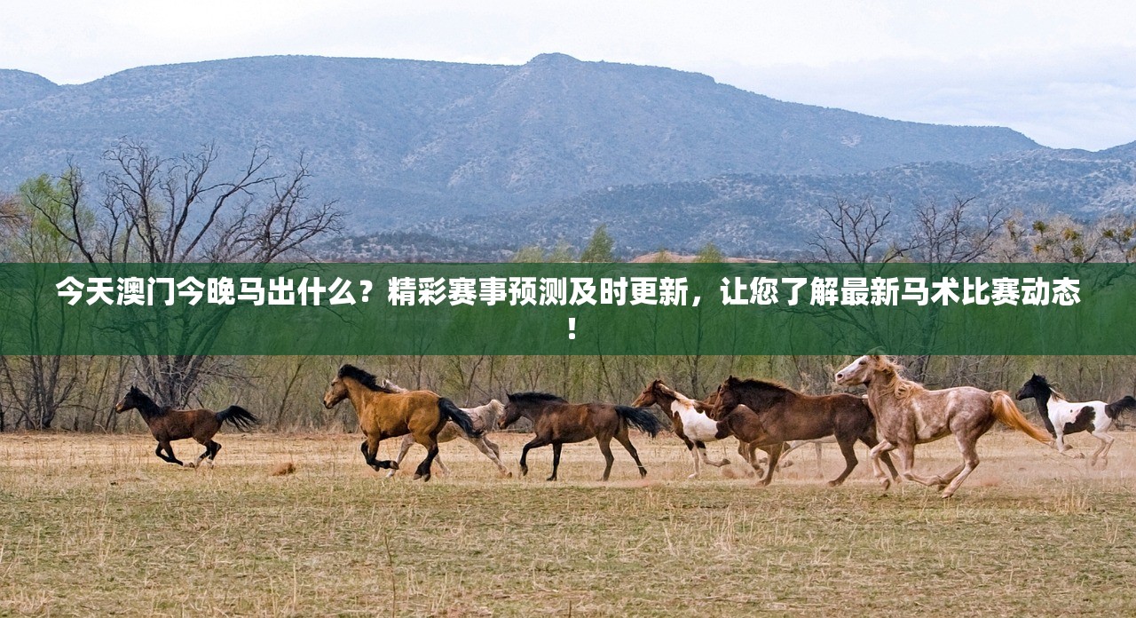 今天澳门今晚马出什么？精彩赛事预测及时更新，让您了解最新马术比赛动态！