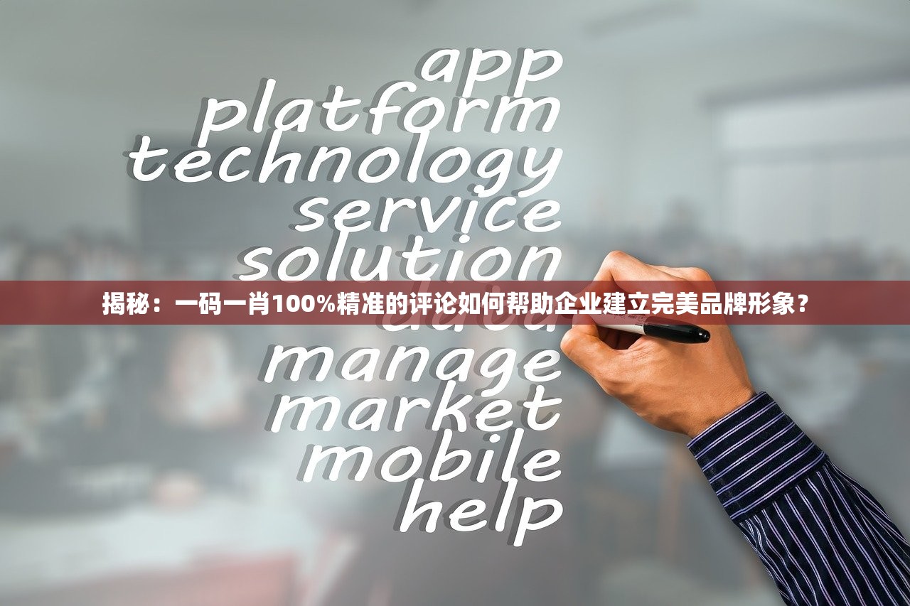 揭秘：一码一肖100%精准的评论如何帮助企业建立完美品牌形象？