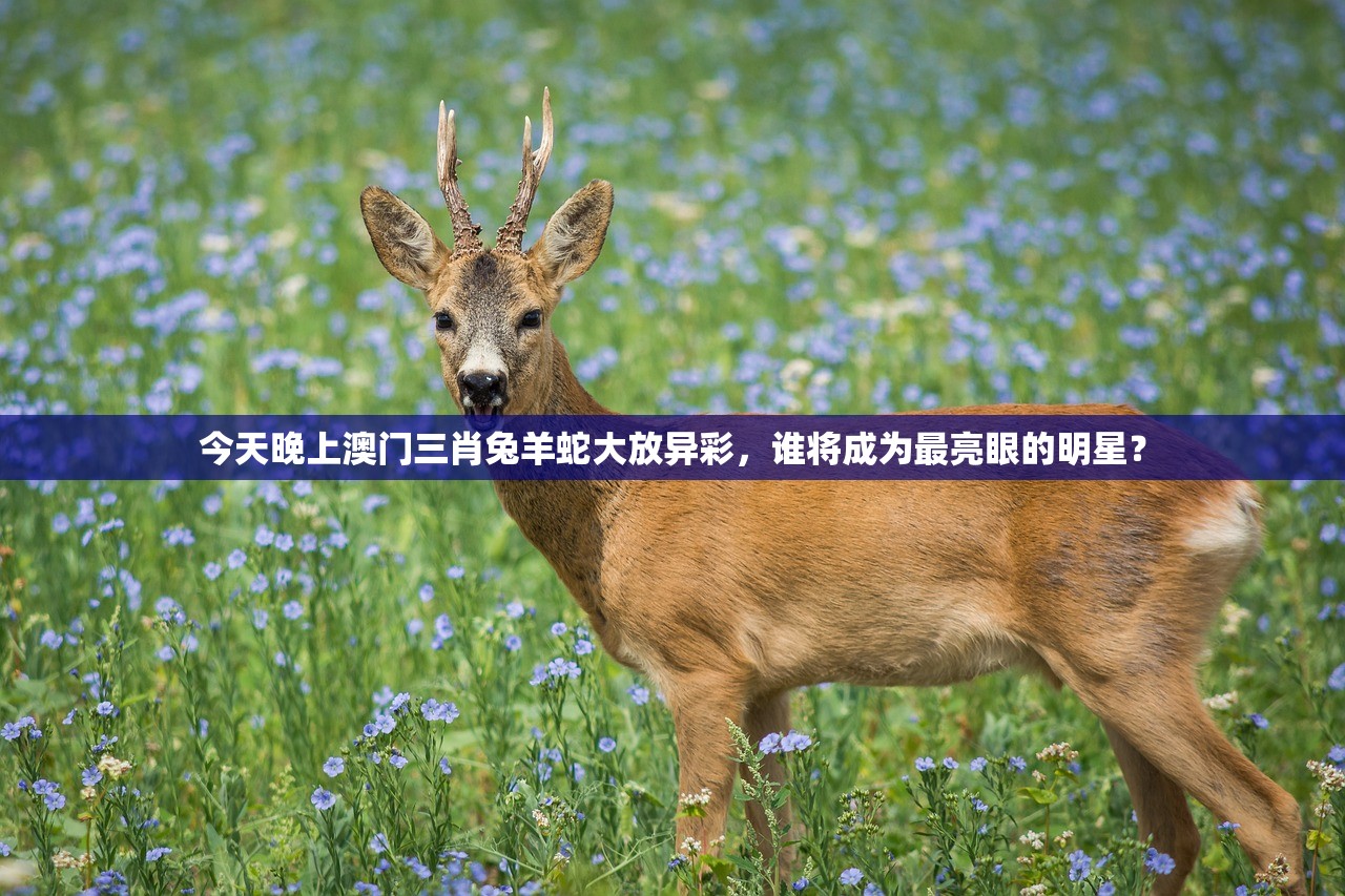 (吃吃吃的文案短句霸气)吃货的天堂，探索吃吃吃的世界
