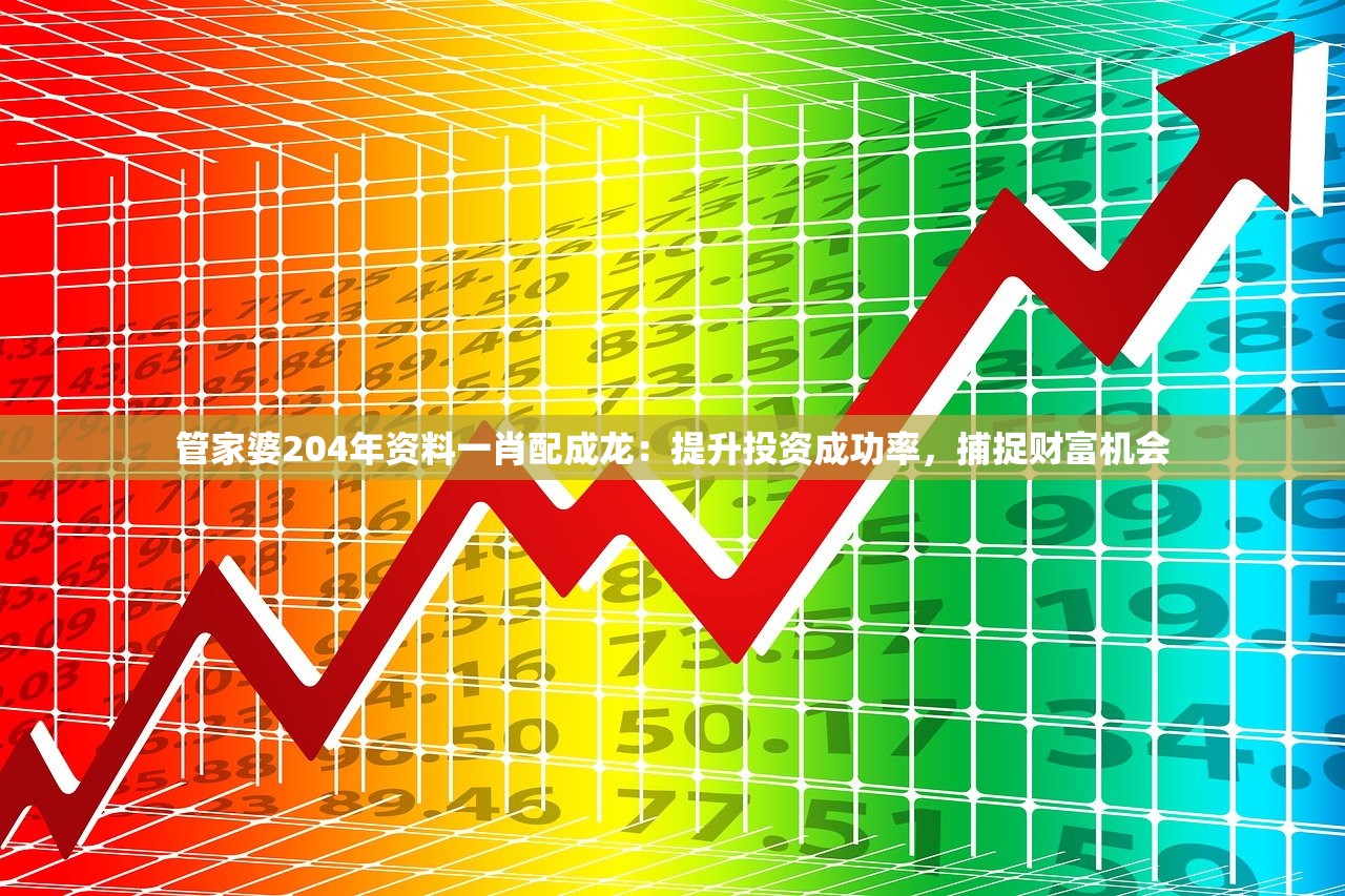 管家婆204年资料一肖配成龙：提升投资成功率，捕捉财富机会