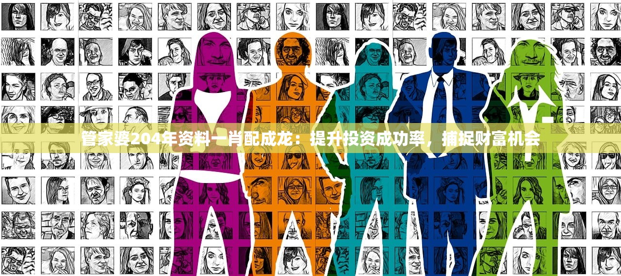 管家婆204年资料一肖配成龙：提升投资成功率，捕捉财富机会