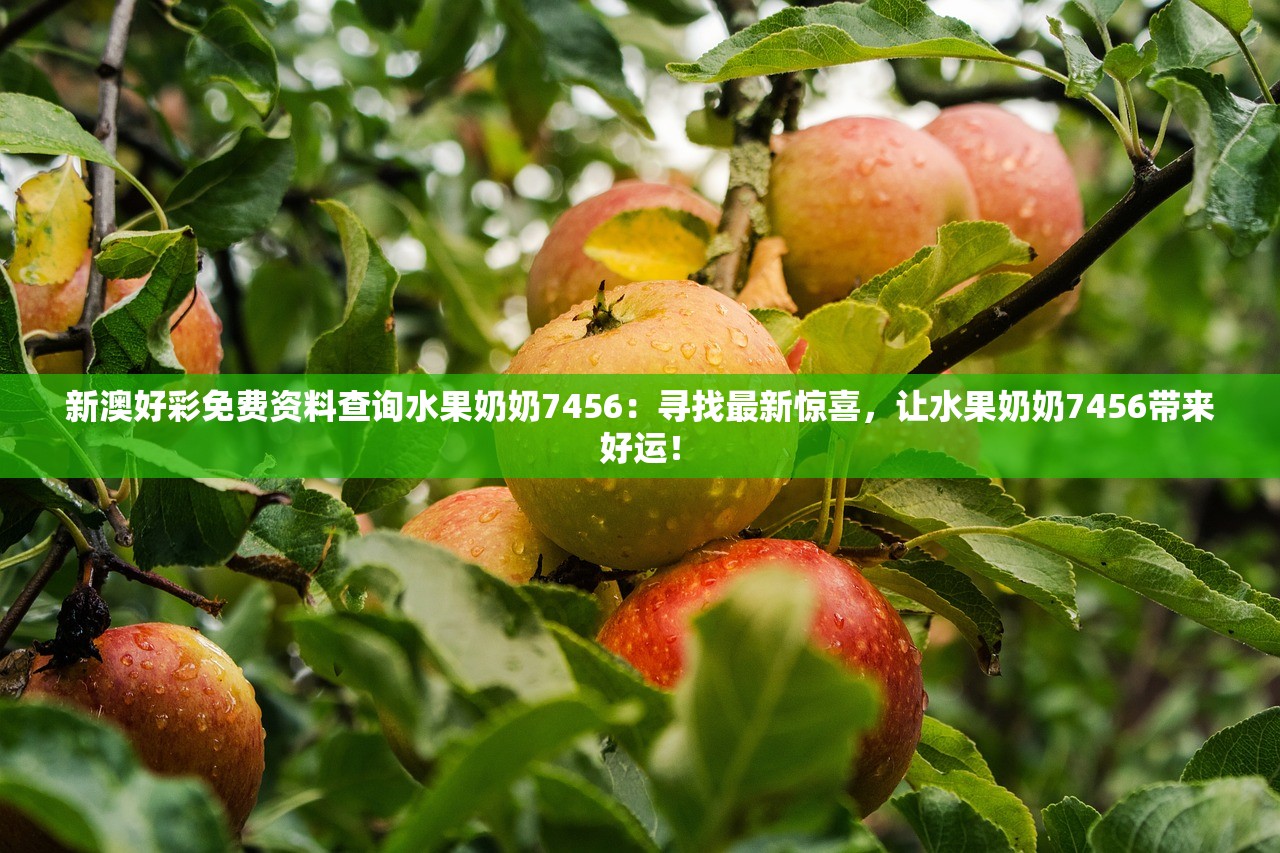 新澳好彩免费资料查询水果奶奶7456：寻找最新惊喜，让水果奶奶7456带来好运！