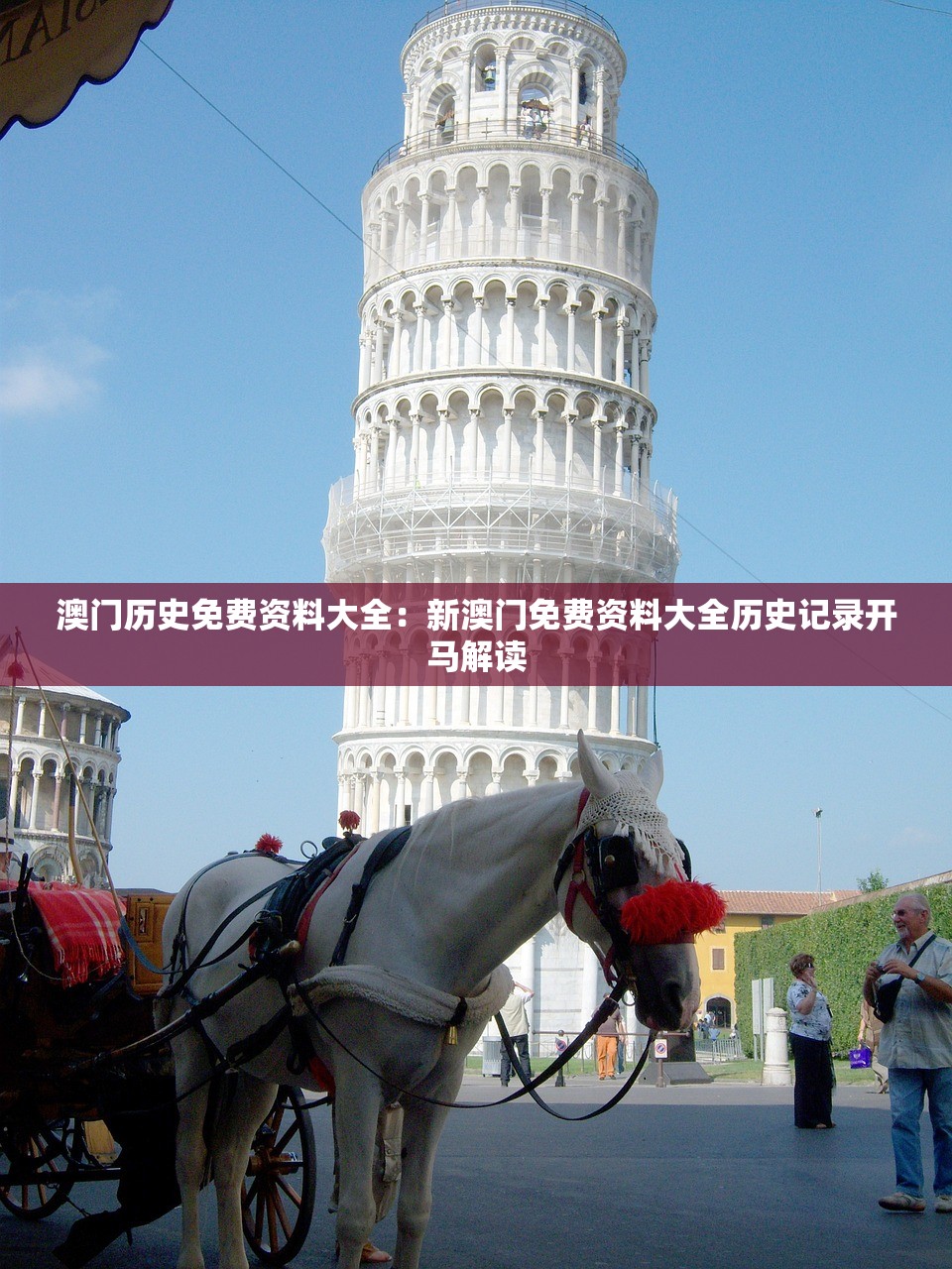 澳门历史免费资料大全：新澳门免费资料大全历史记录开马解读