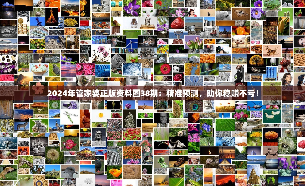 2024年管家婆正版资料图38期：精准预测，助你稳赚不亏！
