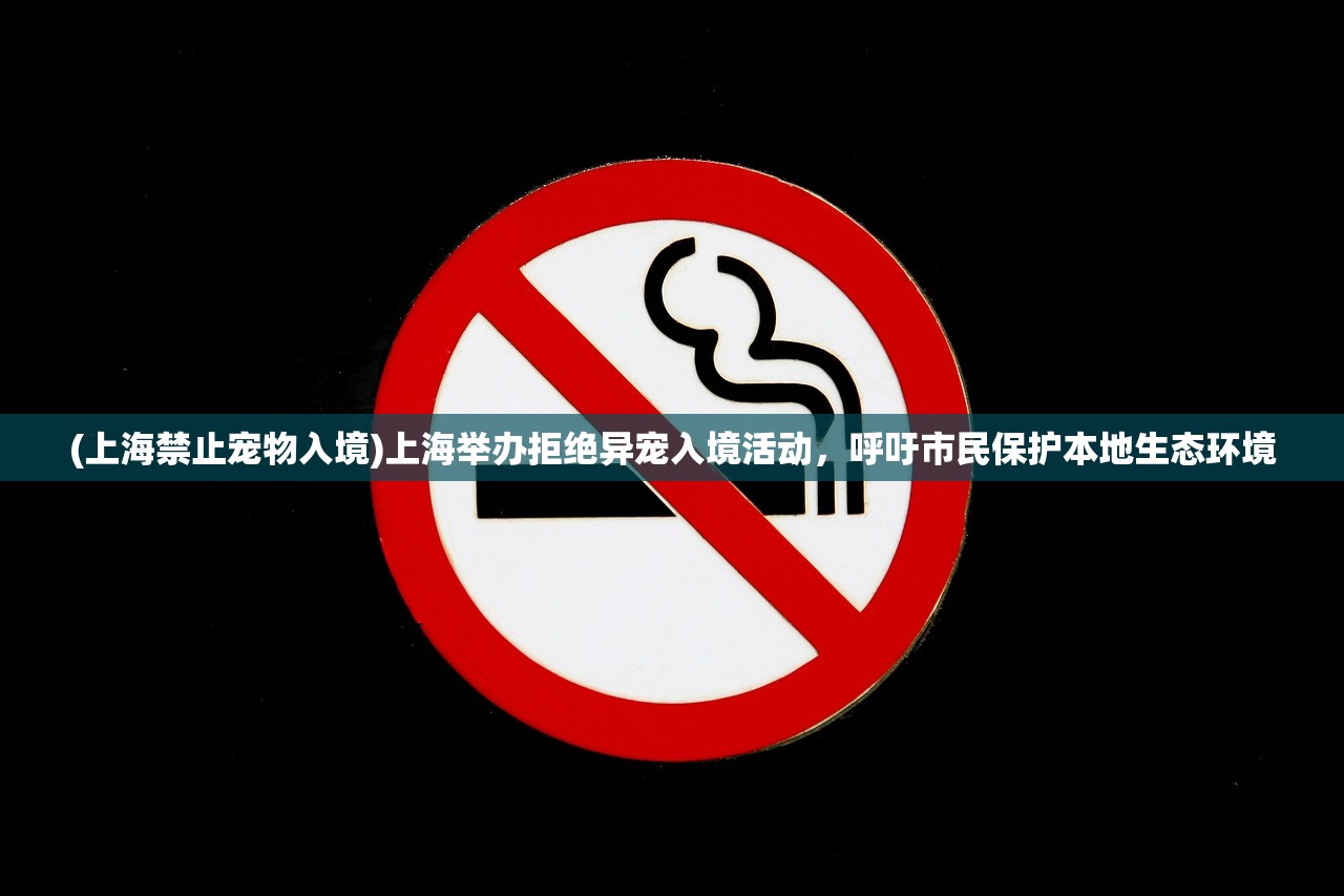 (末途有哪几部番外)末途的多重含义及其深度解读