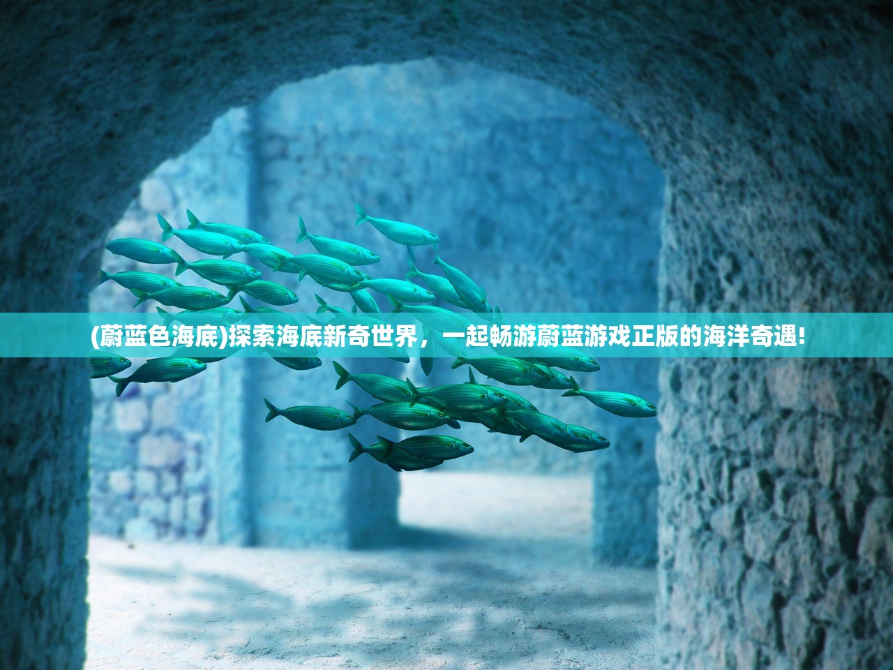 (蔚蓝色海底)探索海底新奇世界，一起畅游蔚蓝游戏正版的海洋奇遇!