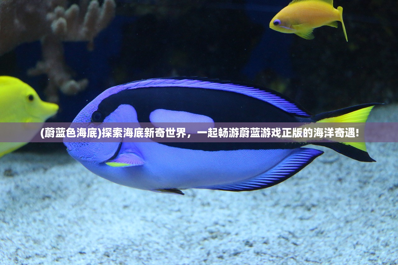 (斗罗大陆魂师对决平民最强阵容)斗罗大陆逆转时空最强阵容推荐，策略分析与选择指南