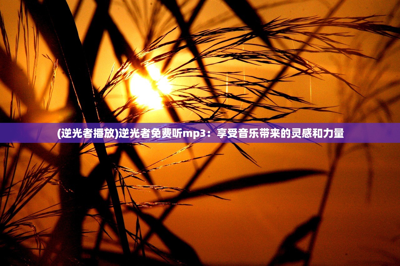 (逆光者播放)逆光者免费听mp3：享受音乐带来的灵感和力量