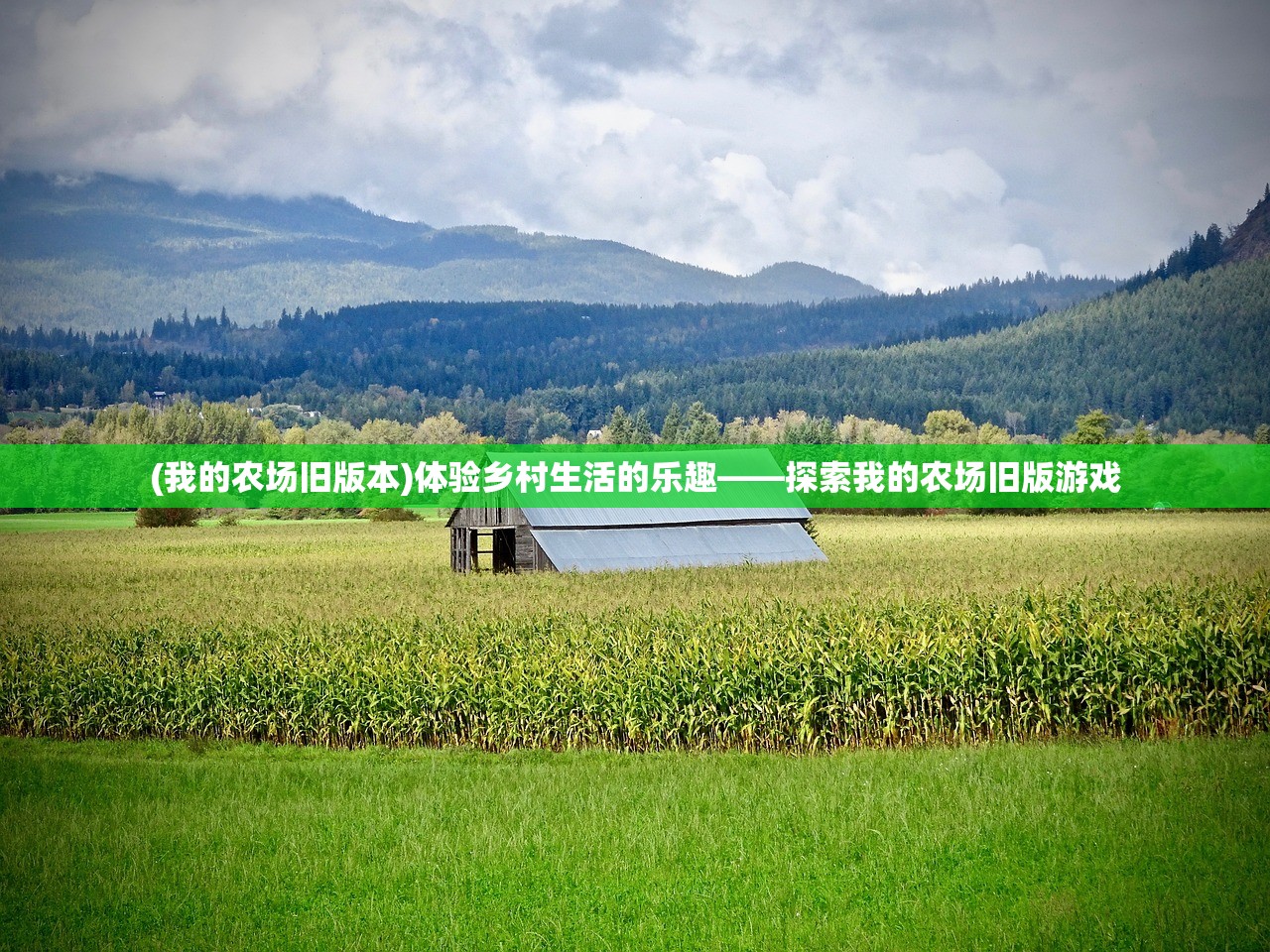 (长篇女主修仙飞升仙界有男主)女主修仙飞升仙界，长篇仙侠之旅