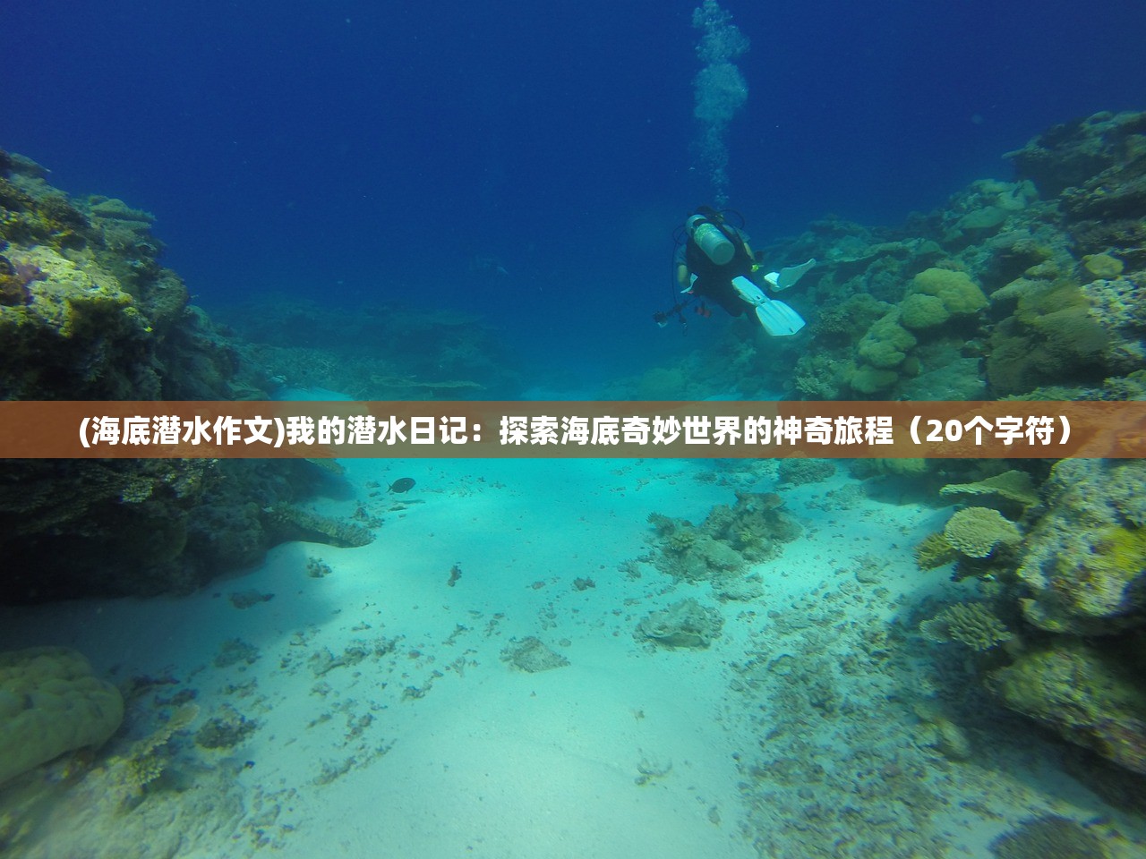 (2024美国篮球梦之队阵容赛程)揭秘2024年美国篮球梦之队阵容，未来的篮球巨星联盟