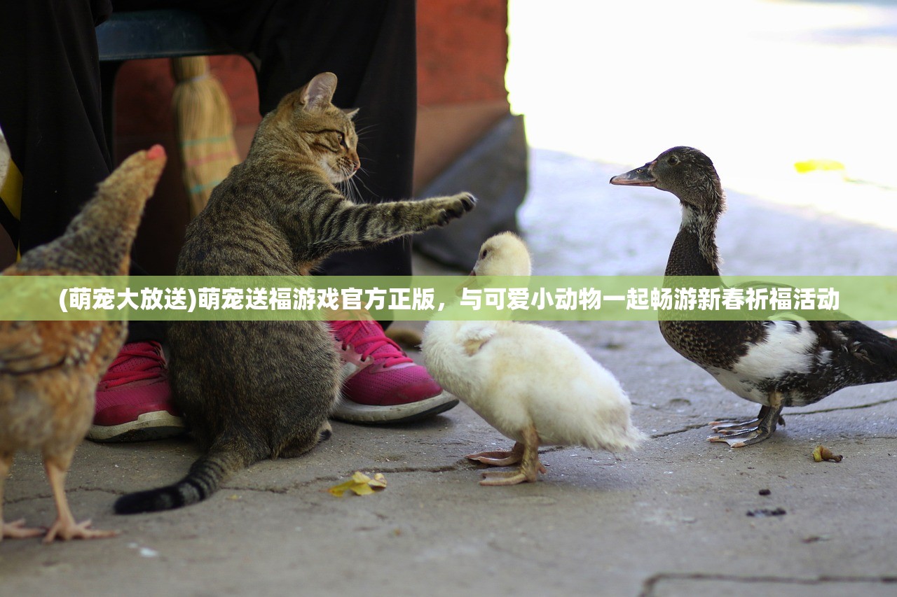 (萌宠大放送)萌宠送福游戏官方正版，与可爱小动物一起畅游新春祈福活动