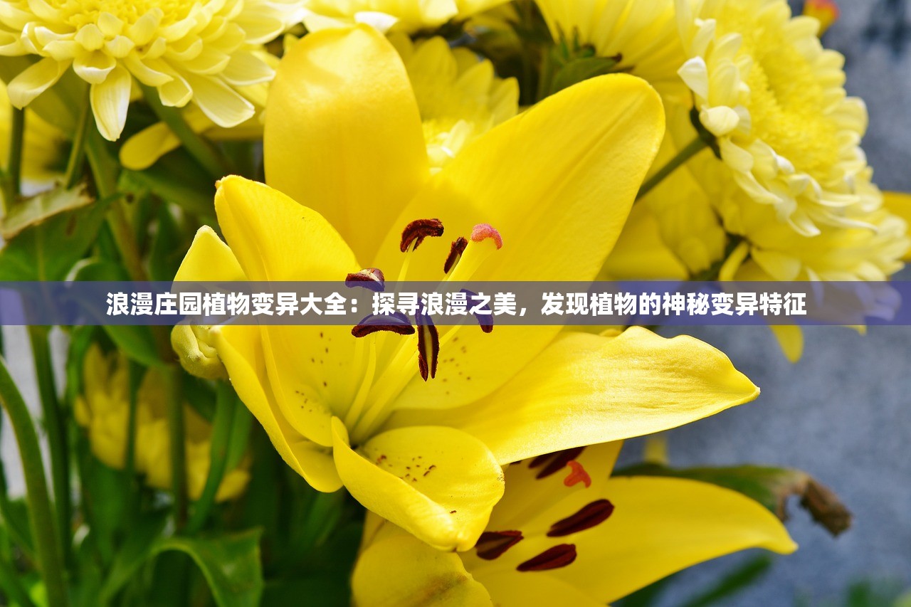 浪漫庄园植物变异大全：探寻浪漫之美，发现植物的神秘变异特征