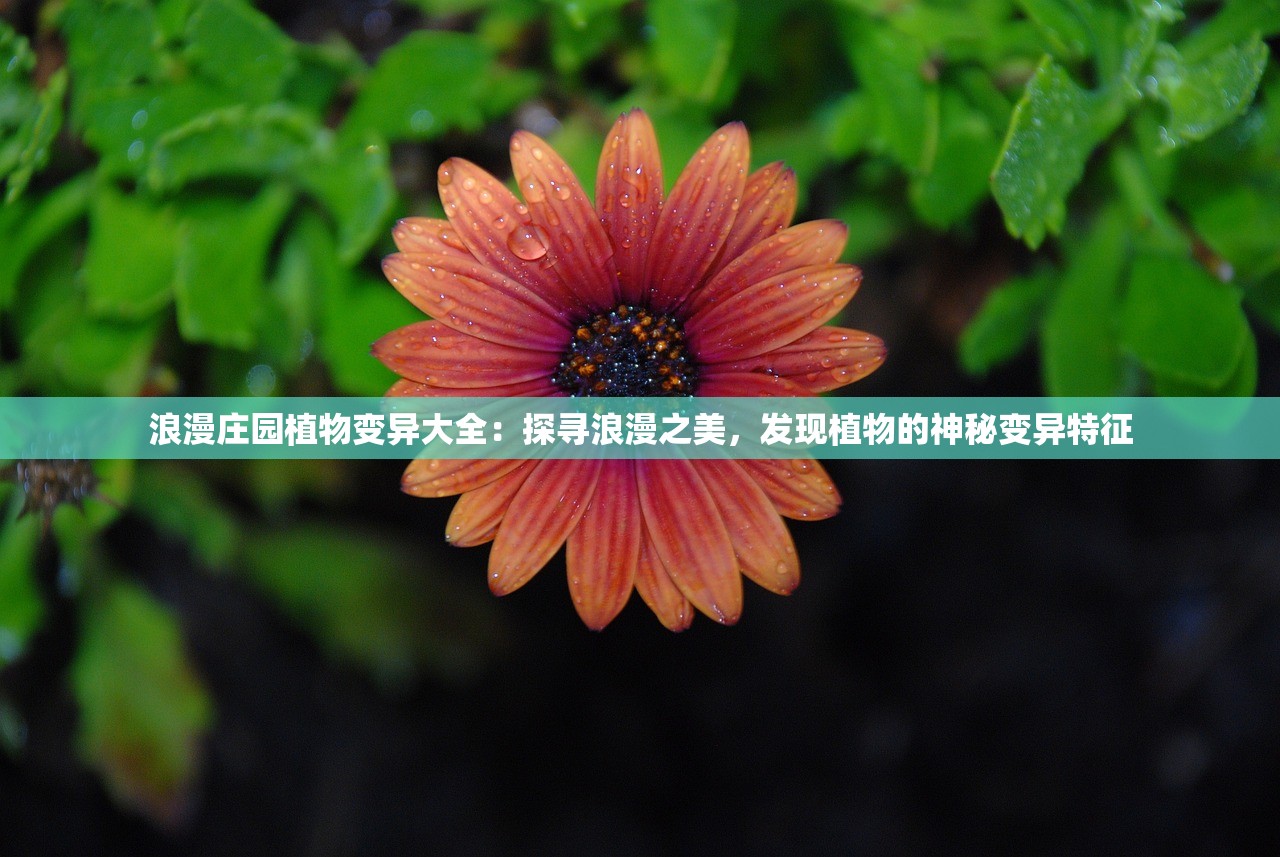 浪漫庄园植物变异大全：探寻浪漫之美，发现植物的神秘变异特征
