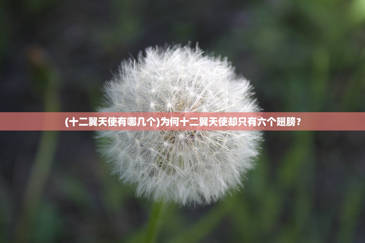 (2024美国篮球梦之队阵容赛程)揭秘2024年美国篮球梦之队阵容，未来的篮球巨星联盟