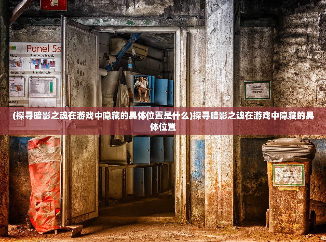 (探寻暗影之魂在游戏中隐藏的具体位置是什么)探寻暗影之魂在游戏中隐藏的具体位置
