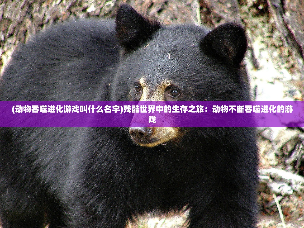 (动物吞噬进化游戏叫什么名字)残酷世界中的生存之旅：动物不断吞噬进化的游戏