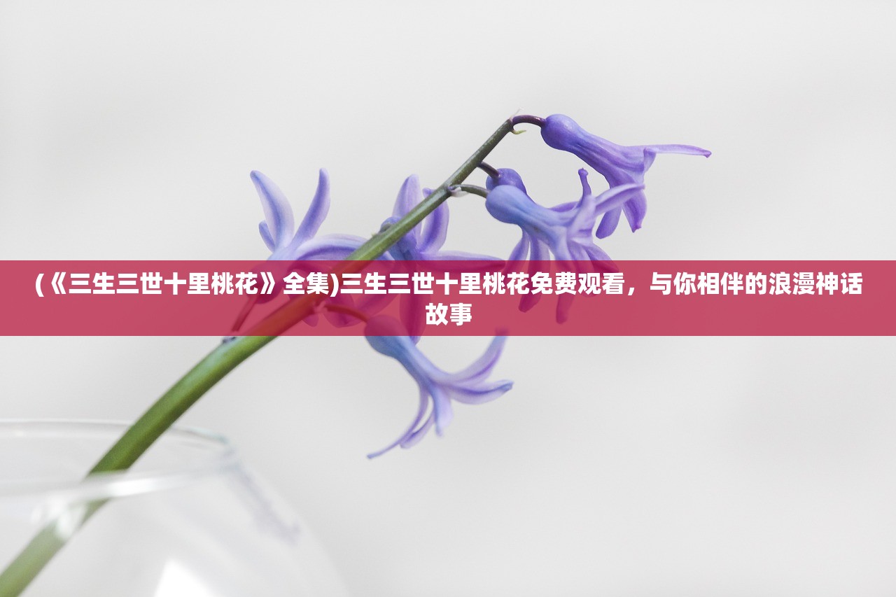 (天天爱闯关2官方)天天爱闯关2，中文挑战的魅力与深度解析