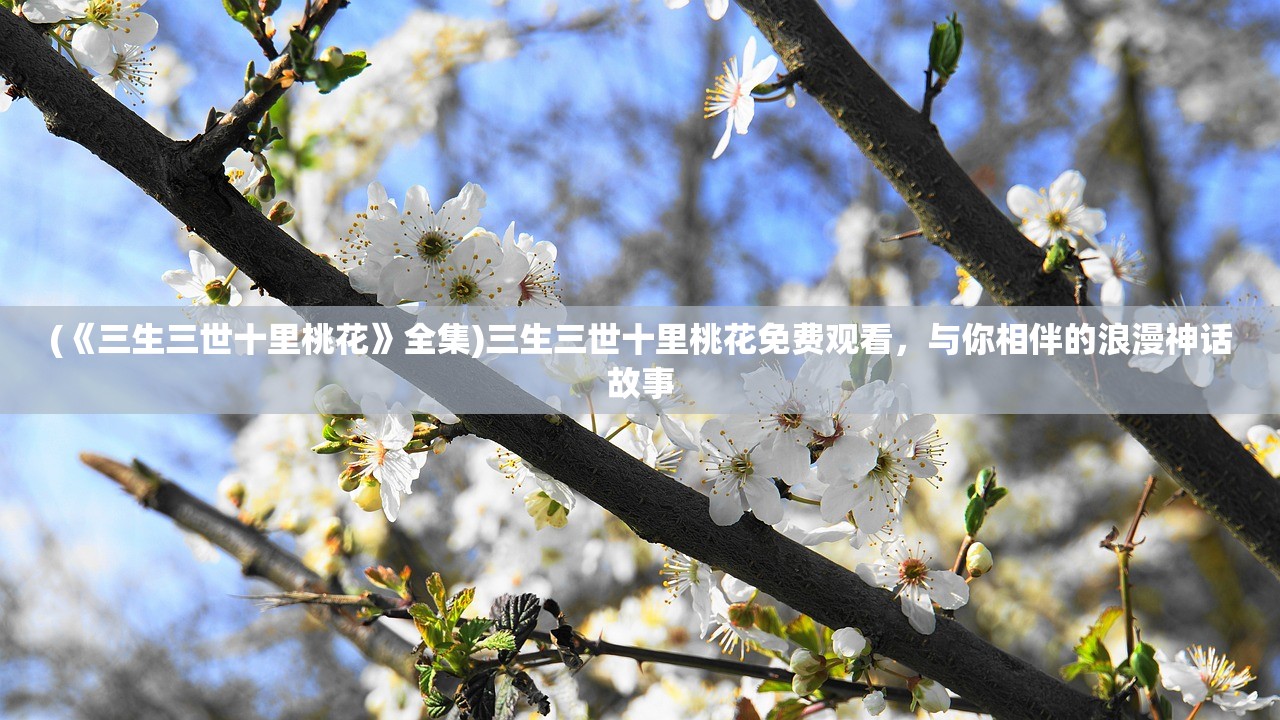(大宋online百度云)大宋Online，穿越千年的虚拟宋朝之旅